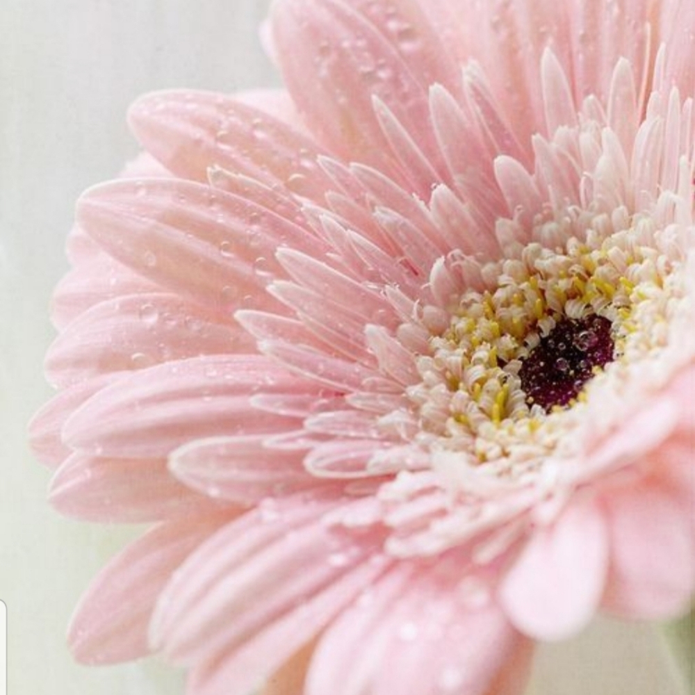 Meet your Posher, Linda